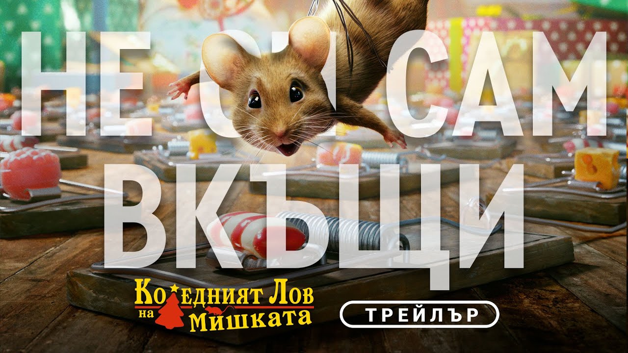 КОЛЕДНИЯТ ЛОВ НА МИШКАТА 