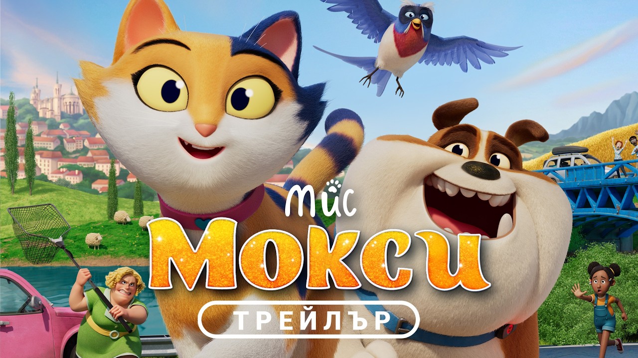 МИС МОКСИ